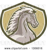 Vector Clip Art of Retro Young Cold Horse Head in a Green and White Shield by Patrimonio