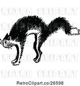 Vector Clip Art of Scared Cat 2 by Prawny Vintage