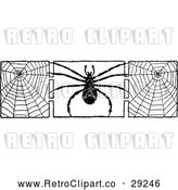 Vector Clip Art of Spider and Webs by Prawny Vintage