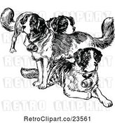 Vector Clip Art of St Bernard Dogs by Prawny Vintage