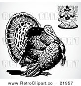 Vector Clipart of a Hungry Pilgrim and a Big Turkey Bird by BestVector