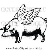 Vector Clipart of a Retro Black and White Winged Pig by Prawny Vintage