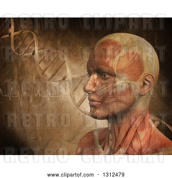 Clip Art of Retro 3d Medical Anatomical Male with Visible Muscles over a DNA Background