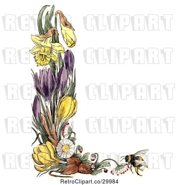 Clip Art of Retro Border of Daffodil Crocus Daisy Flowers and a Bee