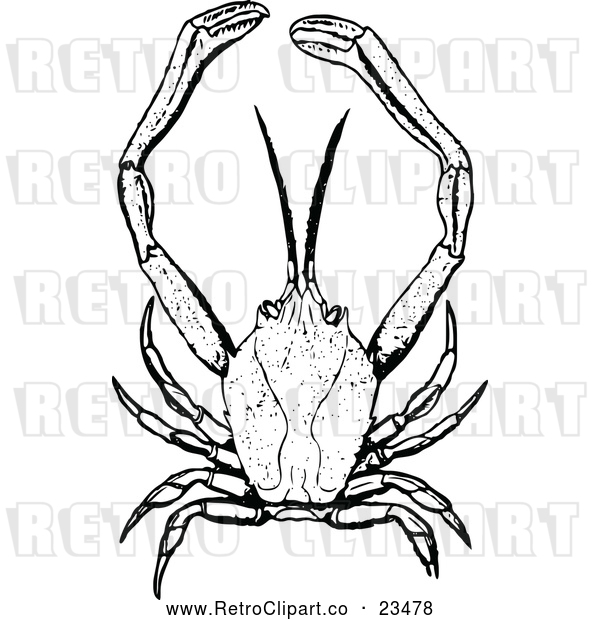 Clipart of a Big Retro Masked Crab