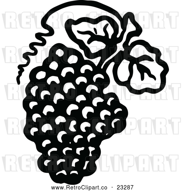 Clipart of a Retro Grapes with Leaves