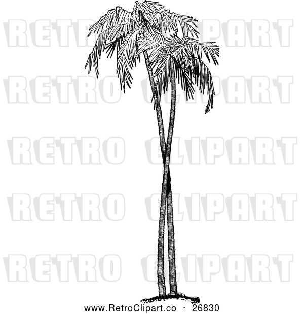 Clipart of Retro Palm Trees