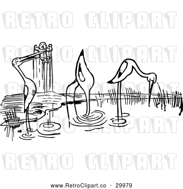 Clipart of Wading Retro Flamingos with Human Baby