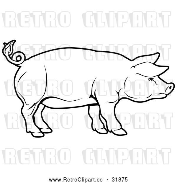 Vector Clip Art of a Cautious Retro Pig Standing Alert and Focuse in Black Outline