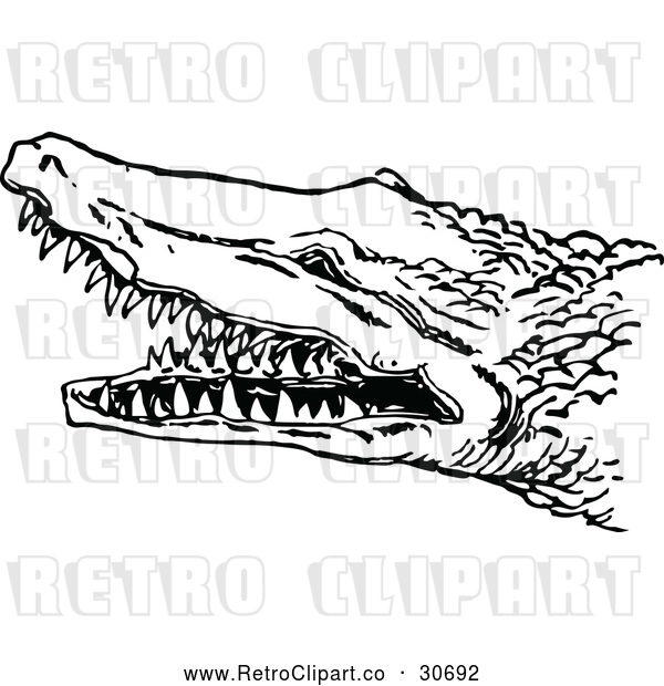Vector Clip Art of a Hostile Retro Crocodile with Sharp Teeth