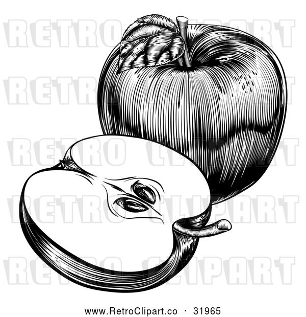 Vector Clip Art of a Retro Black and White Apple, Whole and Halved Fruit