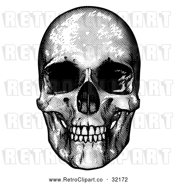 Vector Clip Art of a Retro Black Human Skull
