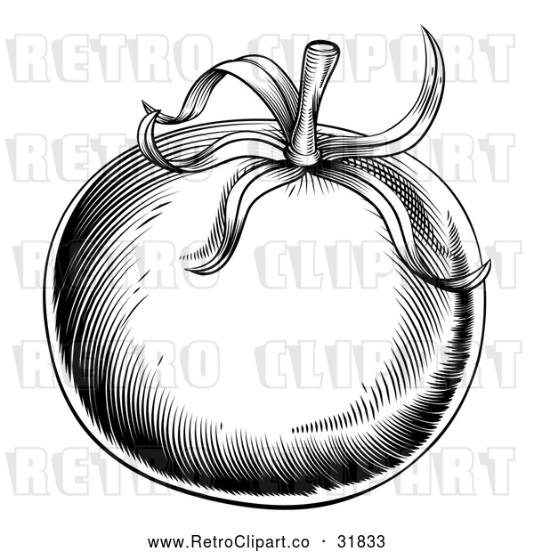 Vector Clip Art of a Retro Black Tomato