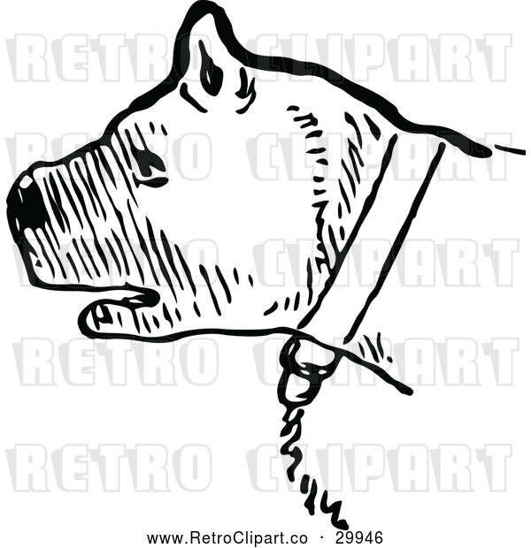 Vector Clip Art of a Retro Chained Pit Bull - Black and White
