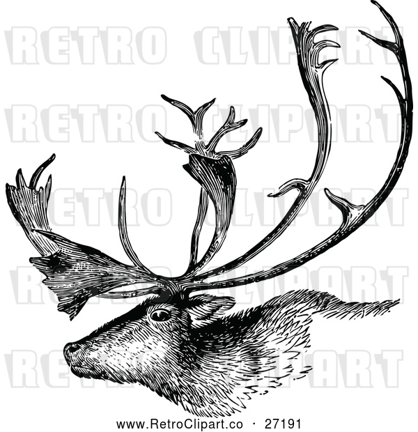 Vector Clip Art of a Retro Deer Stag with Trophy Antlers