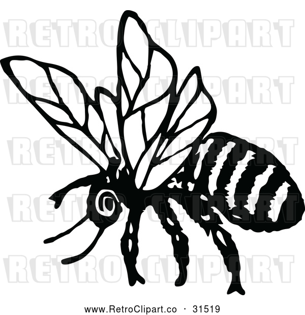 Vector Clip Art of a Retro Flying Bee - Black and White