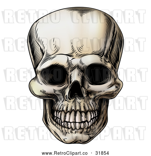 Vector Clip Art of a Retro Human Skull Grinning