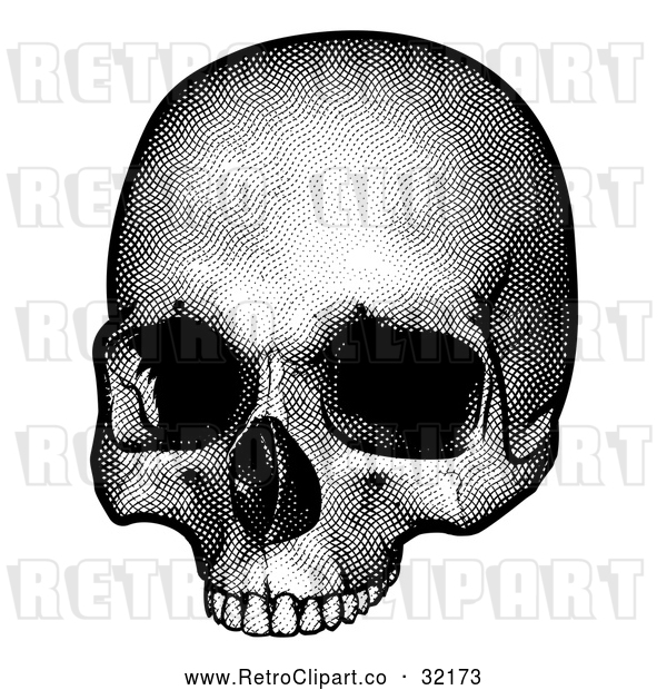 Vector Clip Art of a Retro Human Skull in Black and White