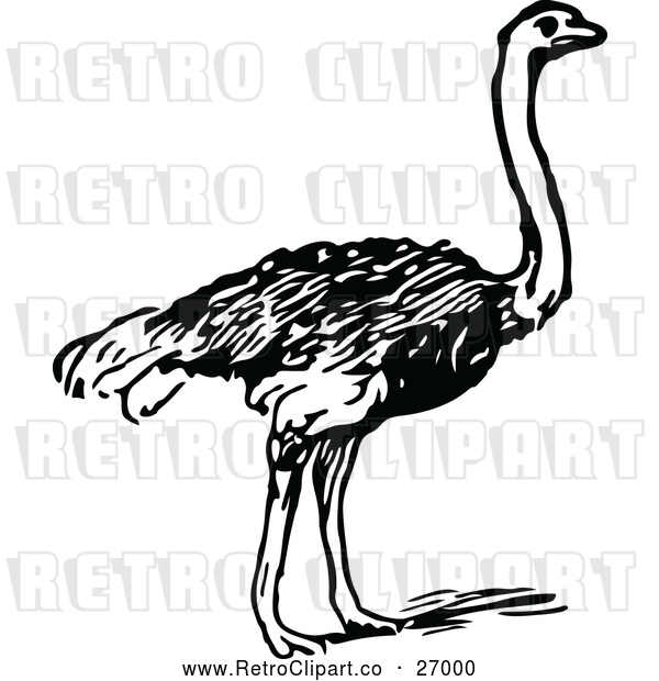 Vector Clip Art of a Retro Ostrich