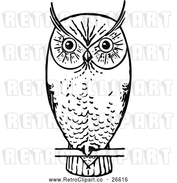 Vector Clip Art of a Retro Owl Perched and Waiting