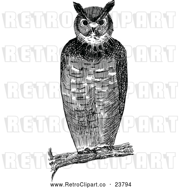 Vector Clip Art of a Retro Owl Resting on Branch