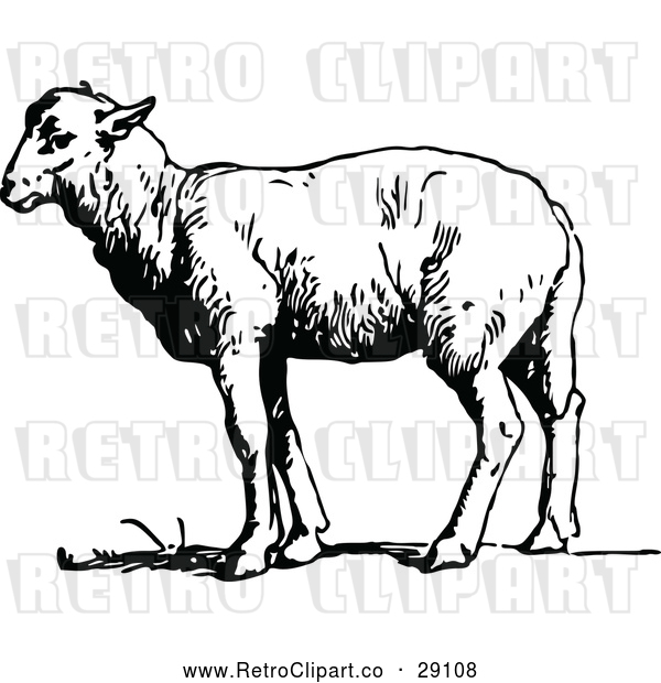 Vector Clip Art of a Retro Sheep Standing Still - Black and White