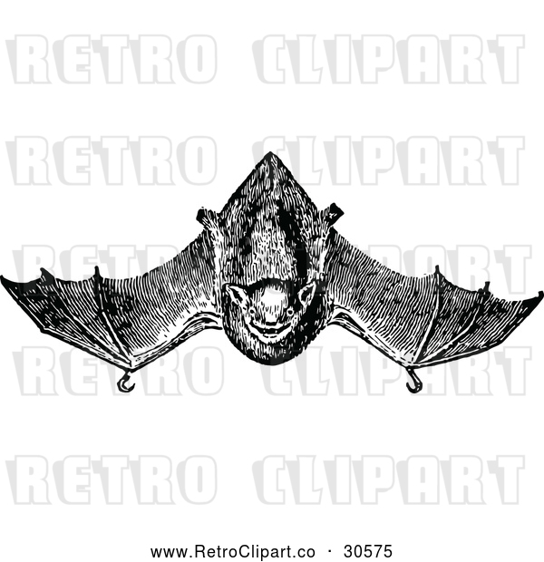Vector Clip Art of a Retro Vampire Bat Flying