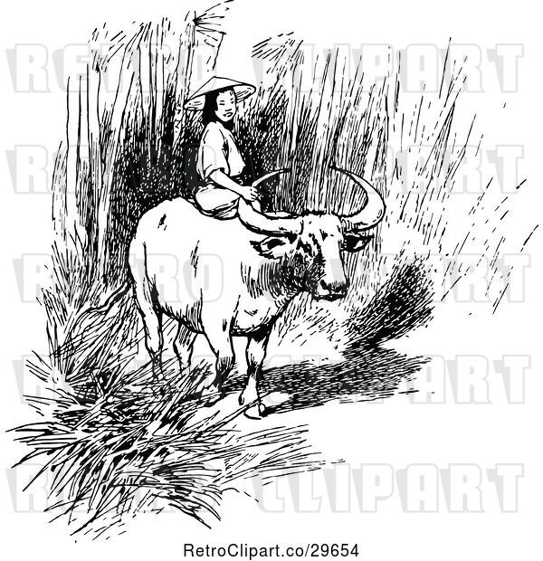 Vector Clip Art of Asian Girl Riding an Ox