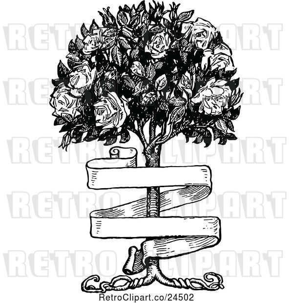 Vector Clip Art of Banner and Rose Bush