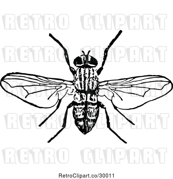 Vector Clip Art of Bee 1