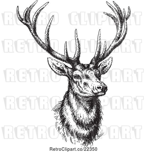 Vector Clip Art of Buck Deer