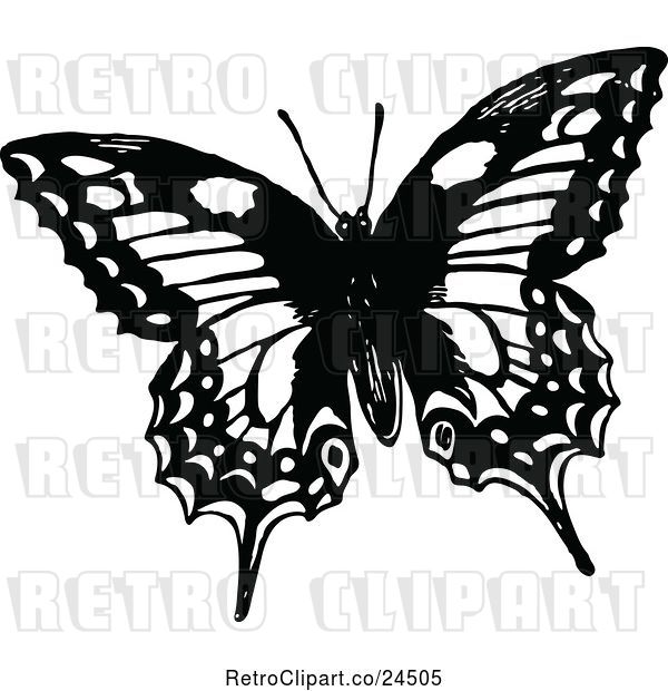 Vector Clip Art of Butterfly