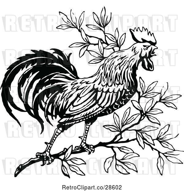 Vector Clip Art of Crowing Rooster in a Tree