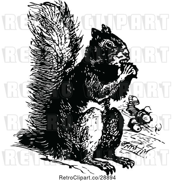 Vector Clip Art of Eating Squirrel