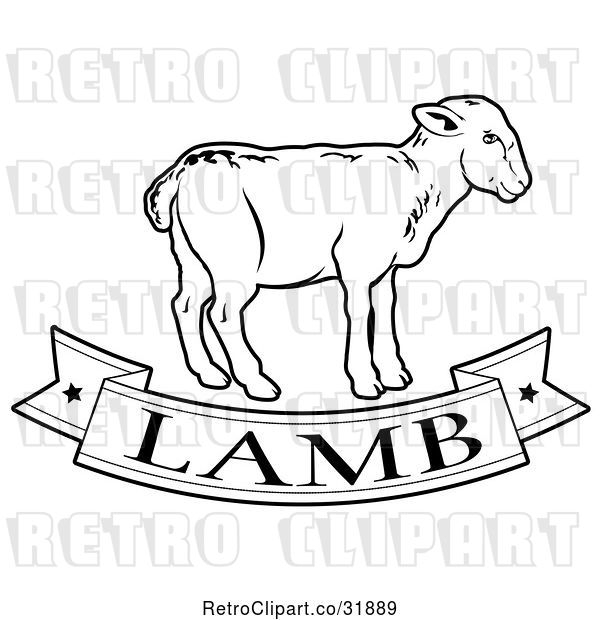 Vector Clip Art of Food Banner and Lamb