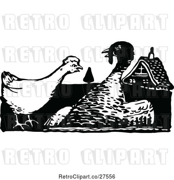 Vector Clip Art of Hen and Turkey Bird