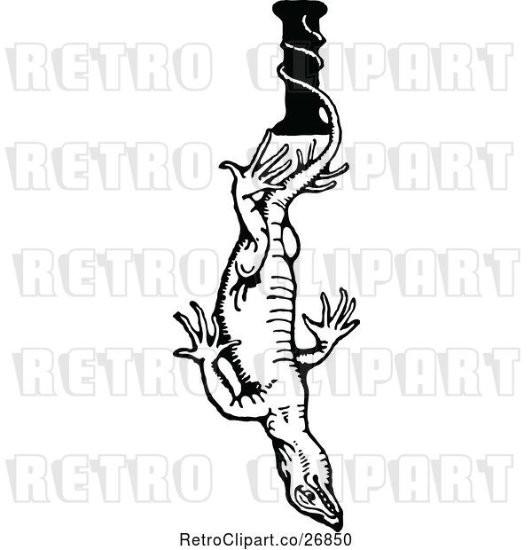 Vector Clip Art of Letter I and Iguana