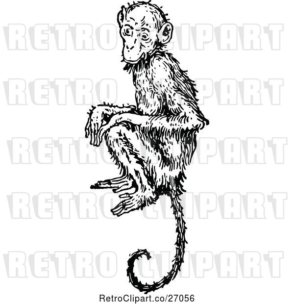 Vector Clip Art of Monkey