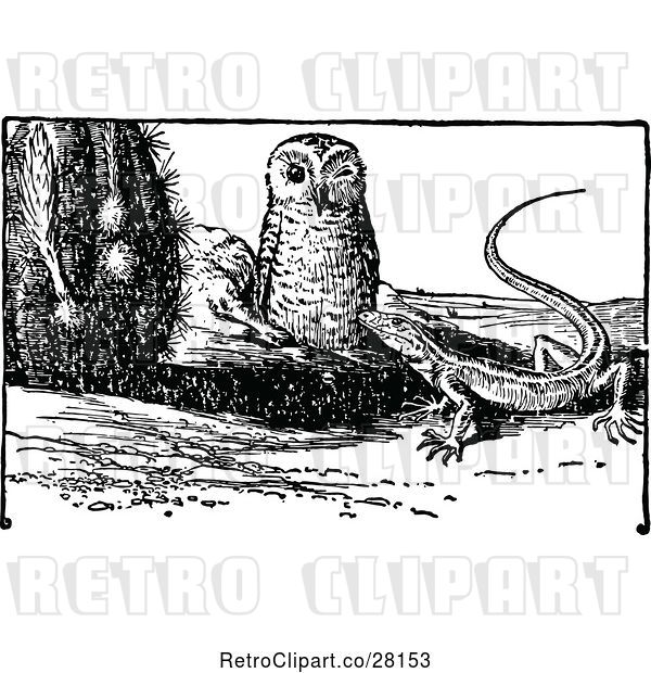 Vector Clip Art of Owl and Lizard