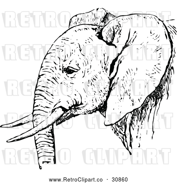 Vector Clip Art of Retro African Elephant