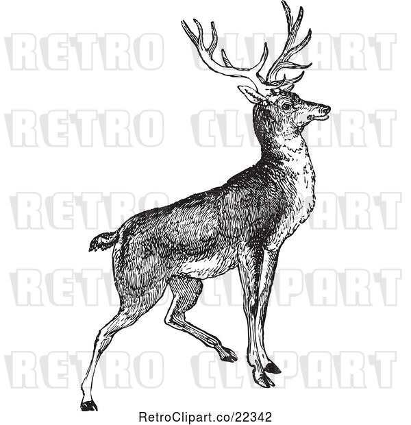 Vector Clip Art of Retro Alert Buck Deer