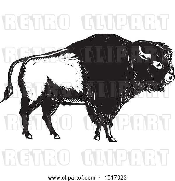 Vector Clip Art of Retro American Bison, in Woodcut