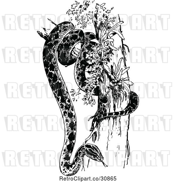 Vector Clip Art of Retro Anaconda Snake in a Tree