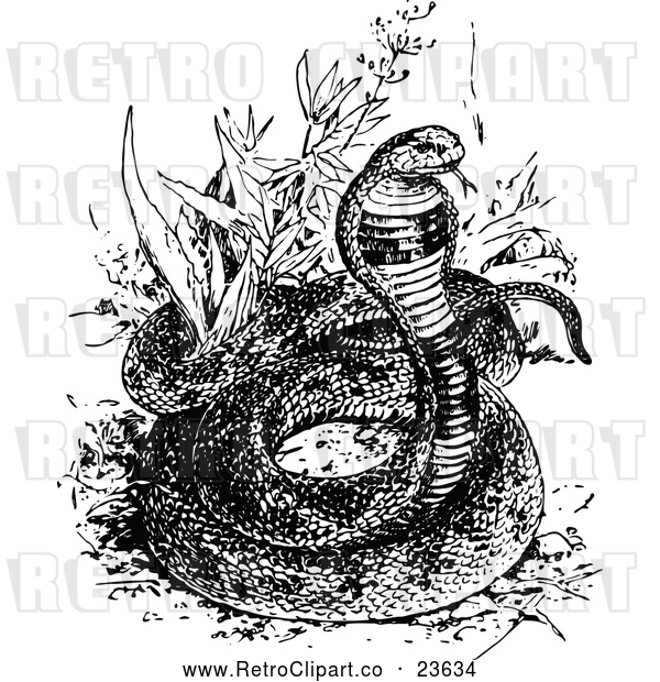 Vector Clip Art of Retro Asp Snake