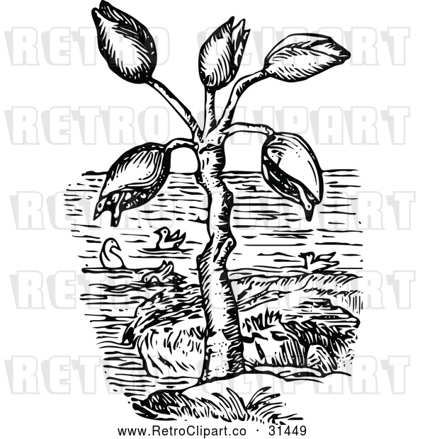 Vector Clip Art of Retro Barnacle Tree and Geese