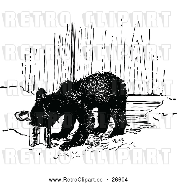 Vector Clip Art of Retro Bear Eating from a Can