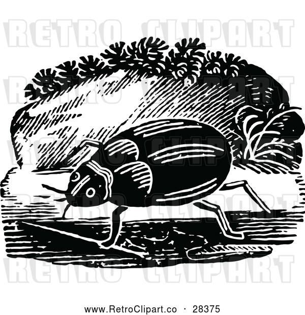 Vector Clip Art of Retro Beetle