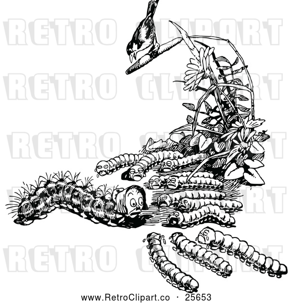 Vector Clip Art of Retro Bird and Caterpillar Family