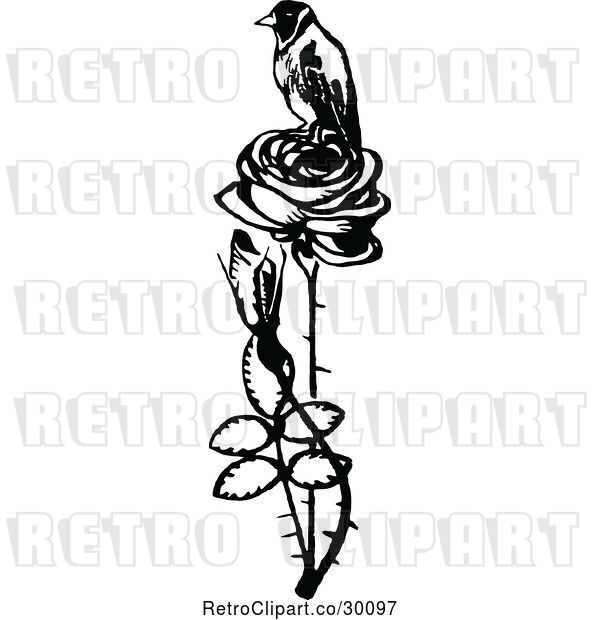 Vector Clip Art of Retro Bird Perched on a Rose