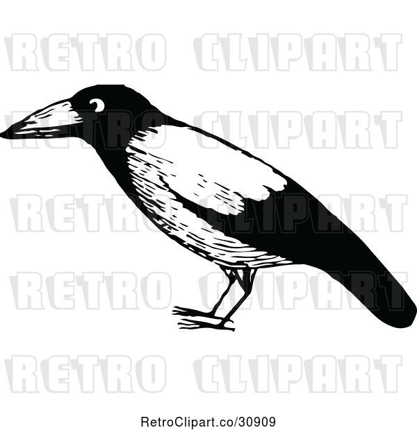 Vector Clip Art of Retro Black Bird